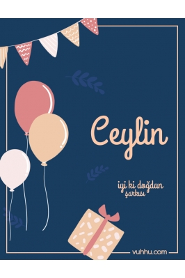 Ceylin İçin Pop Doğum Günü...